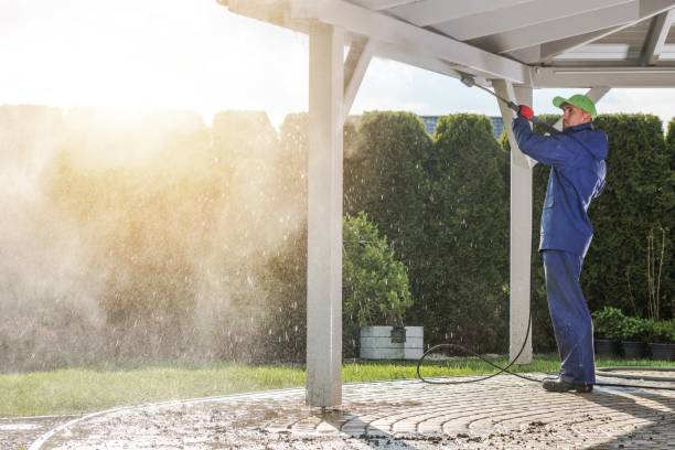 Best Graffiti Removal  in Mount Plymouth, FL
